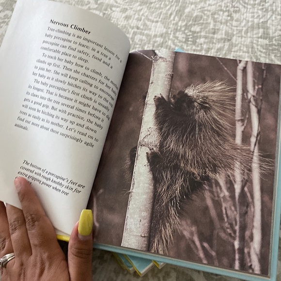 Getting To Know Natures Children Animal Books Hard Cover Bundle - Picture 6 of 8